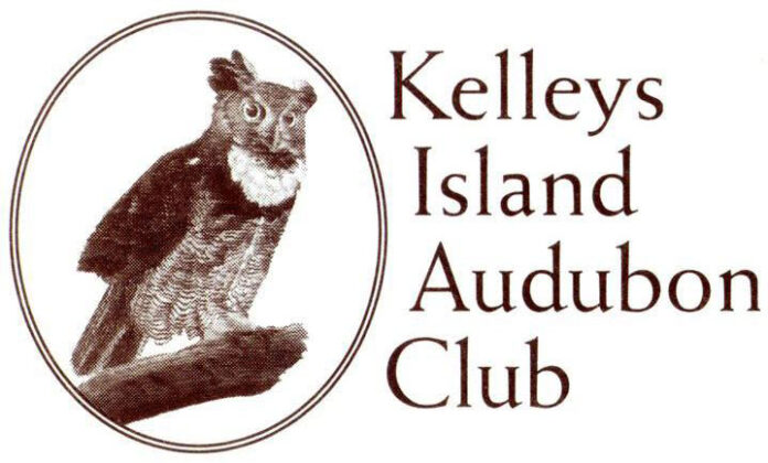 KI Audubon